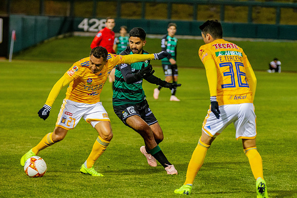 CL9G2143.jpg